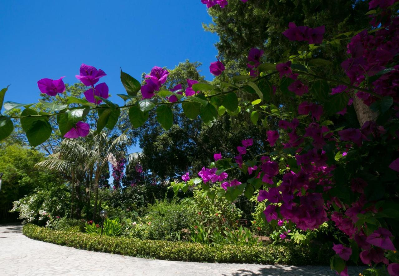 Villa Pampalone - B&B In Dimora Storica ตราปานี ภายนอก รูปภาพ