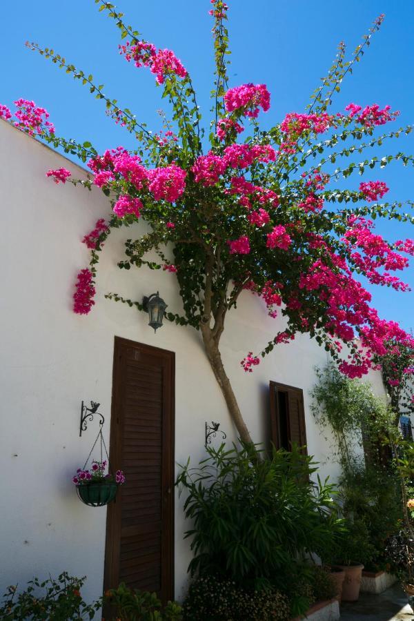 Villa Pampalone - B&B In Dimora Storica ตราปานี ภายนอก รูปภาพ