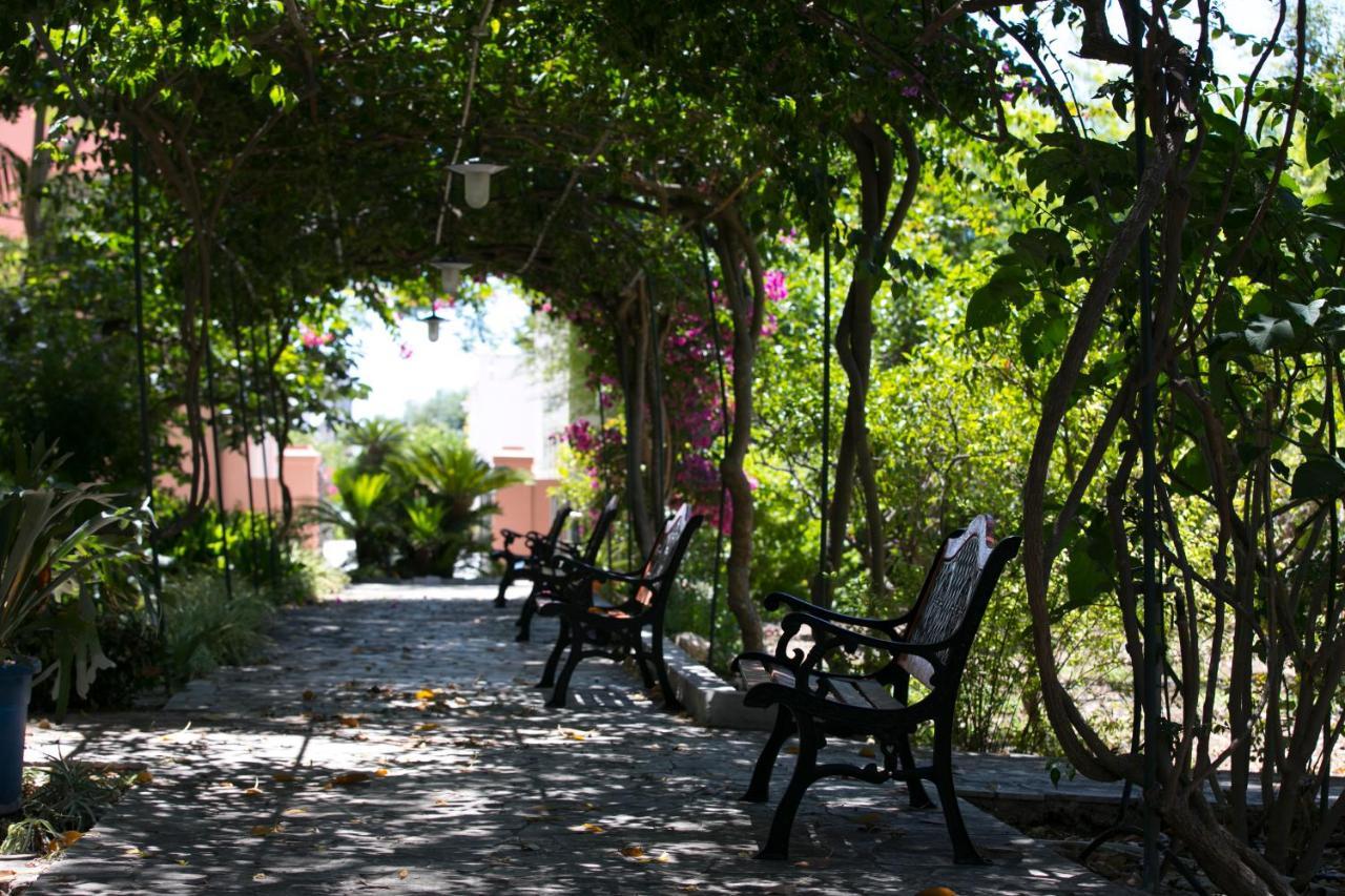 Villa Pampalone - B&B In Dimora Storica ตราปานี ภายนอก รูปภาพ