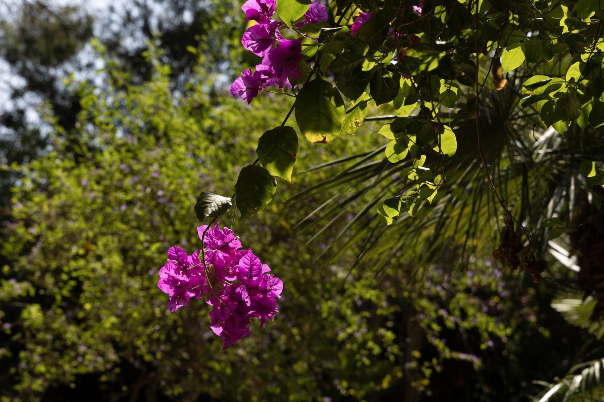 Villa Pampalone - B&B In Dimora Storica ตราปานี ภายนอก รูปภาพ