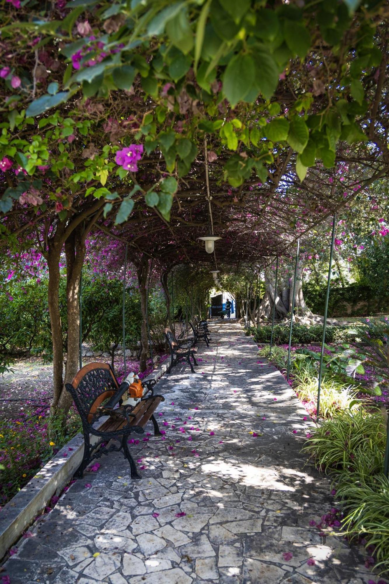 Villa Pampalone - B&B In Dimora Storica ตราปานี ภายนอก รูปภาพ