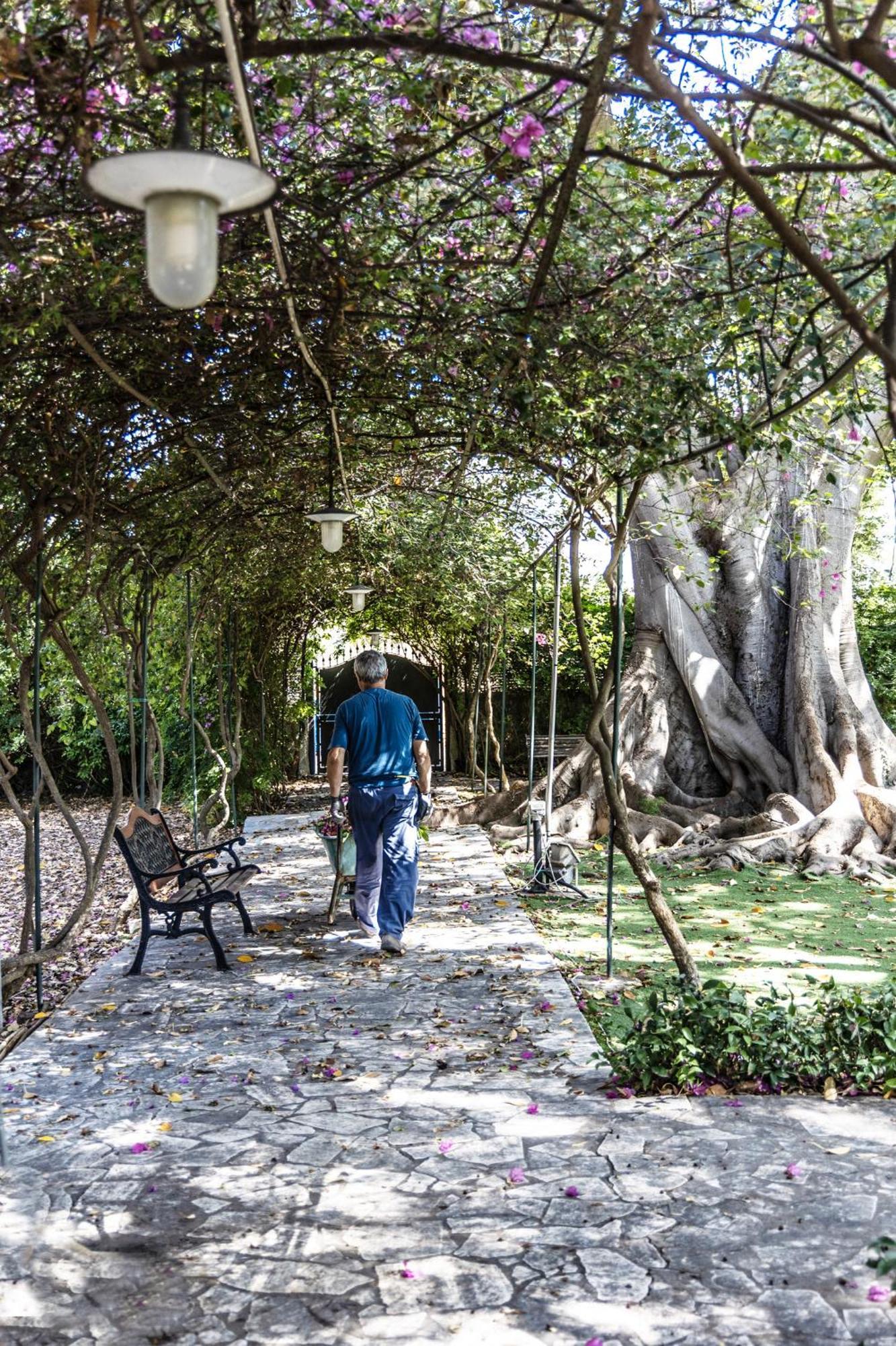 Villa Pampalone - B&B In Dimora Storica ตราปานี ภายนอก รูปภาพ